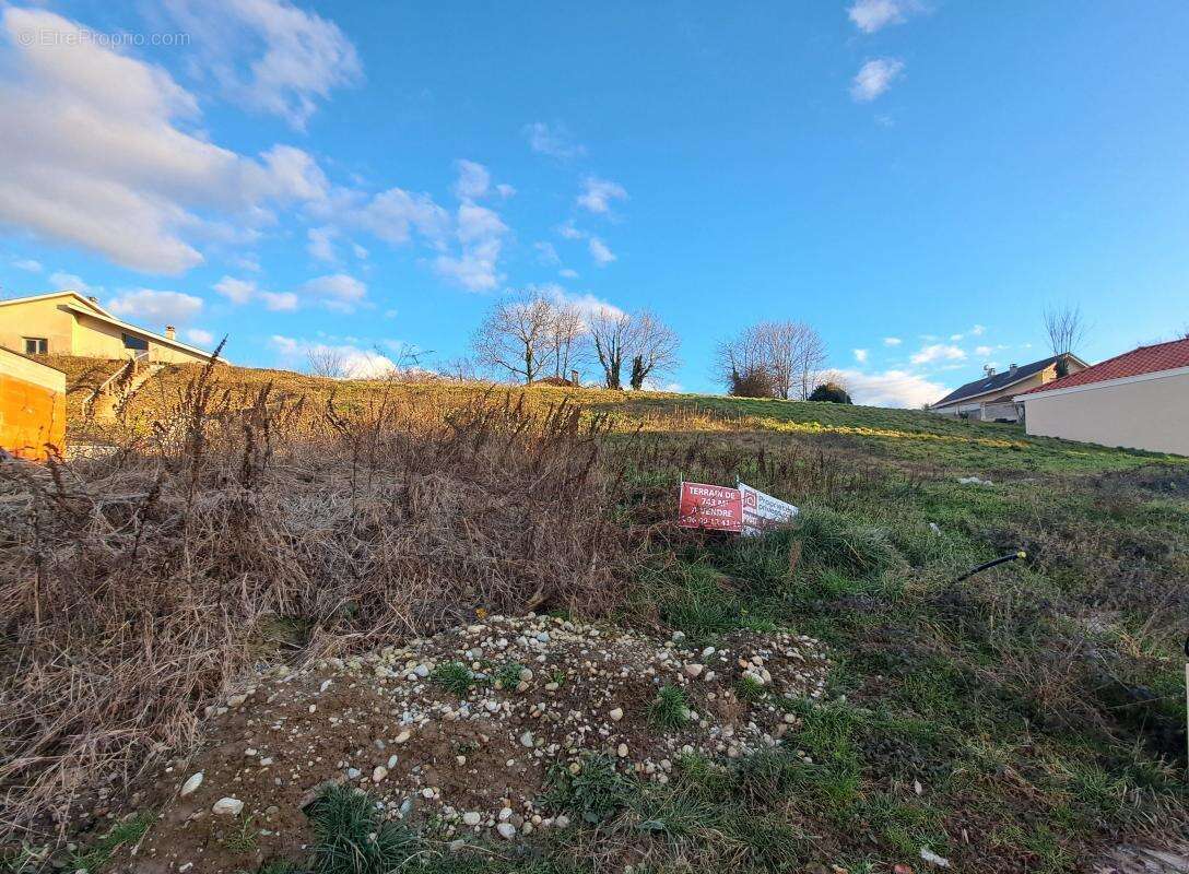 Terrain à CHARNECLES