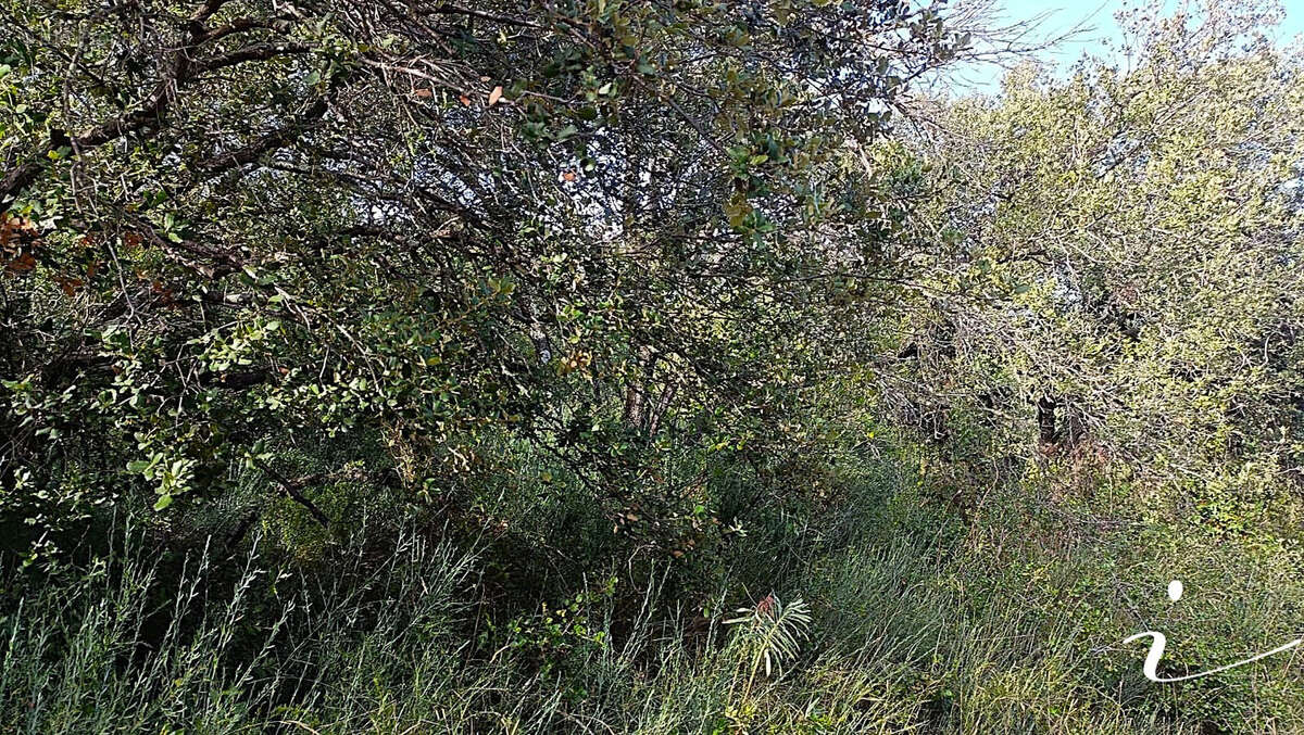 Terrain à LAGAMAS