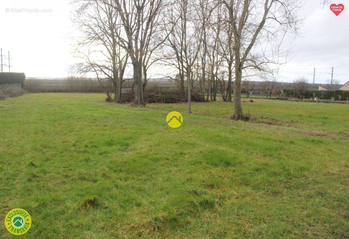 Terrain à TOULON-SUR-ALLIER