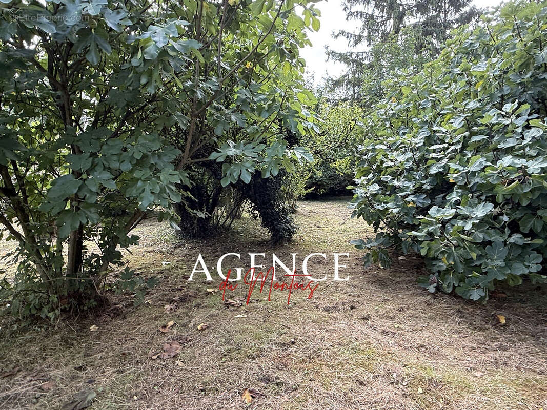 Maison à BRAY-SUR-SEINE