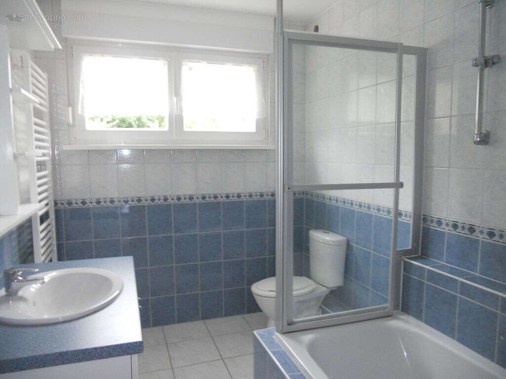 Appartement à SEEBACH