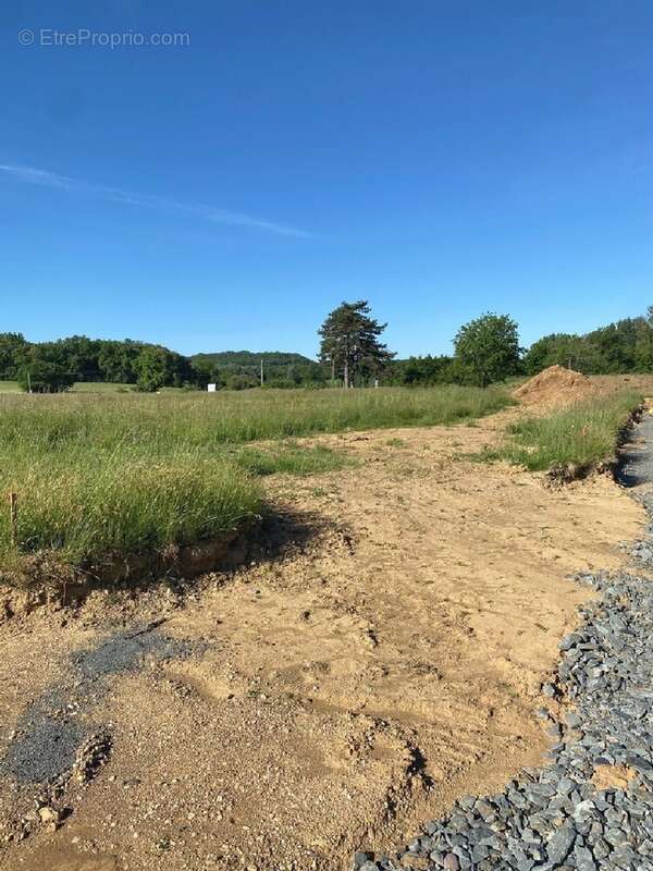 Terrain à SAINT-JULIEN-DU-PUY