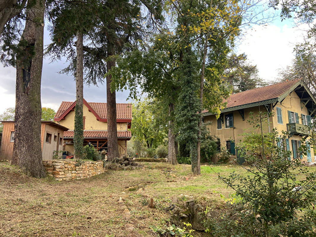 Terrain à CURIS-AU-MONT-D'OR