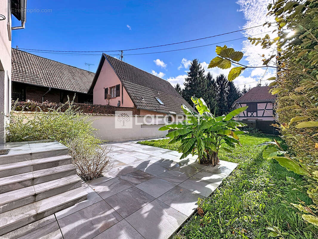 Maison à WINGERSHEIM