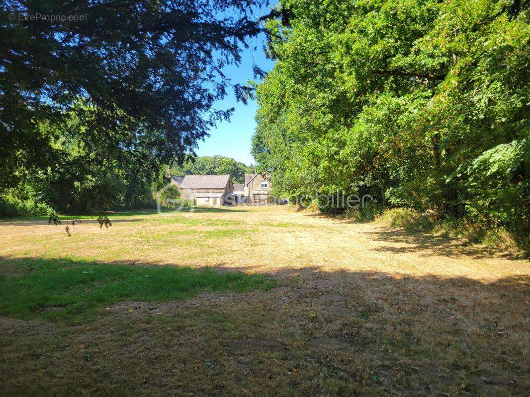 Coup de cœur assuré pour cette authentique maison en pierre - photo 3