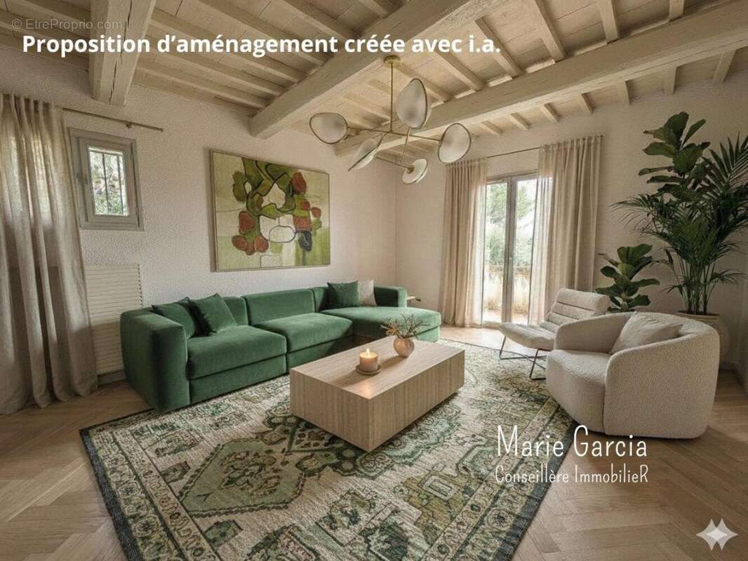 Photo 3 - Maison à MONTFERRIER-SUR-LEZ