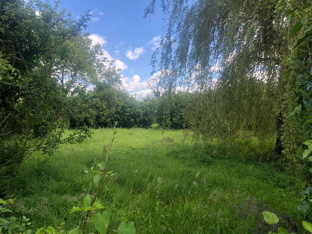 Terrain à CROUY-SUR-OURCQ