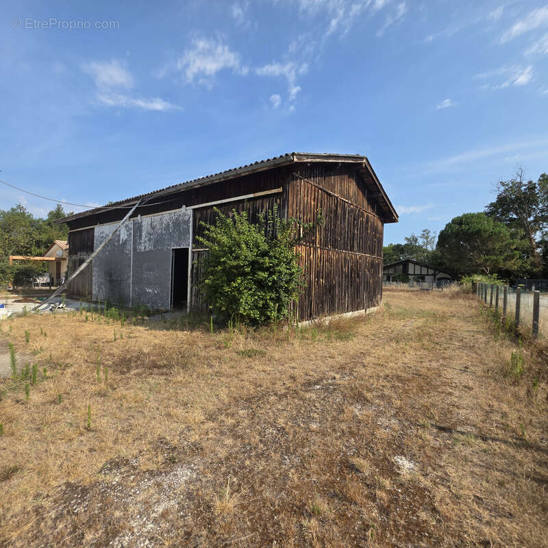 Maison familiale avec dépendances, terrain clos de 2 965 m2 et fort potentiel professionnel - photo 19