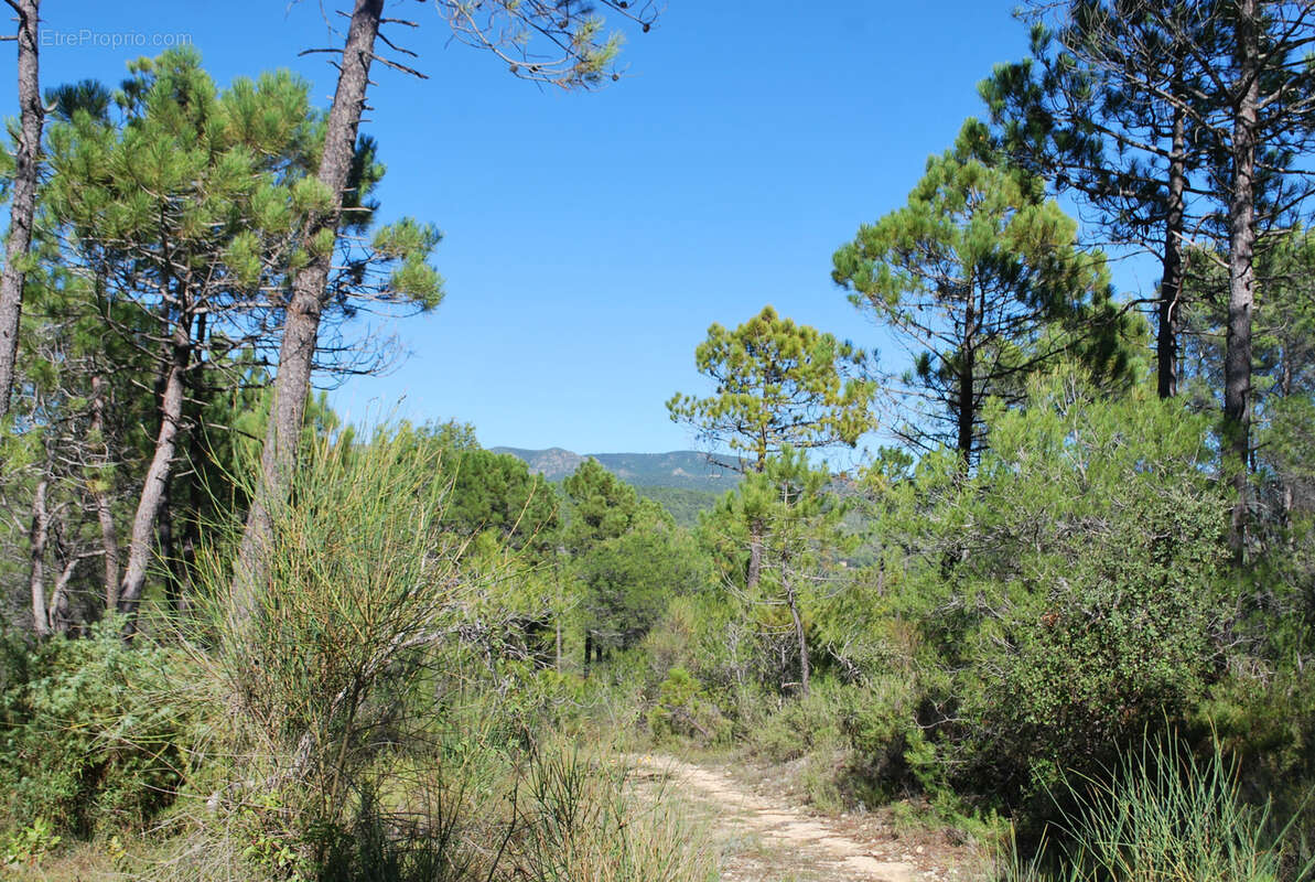 Terrain à SALERNES