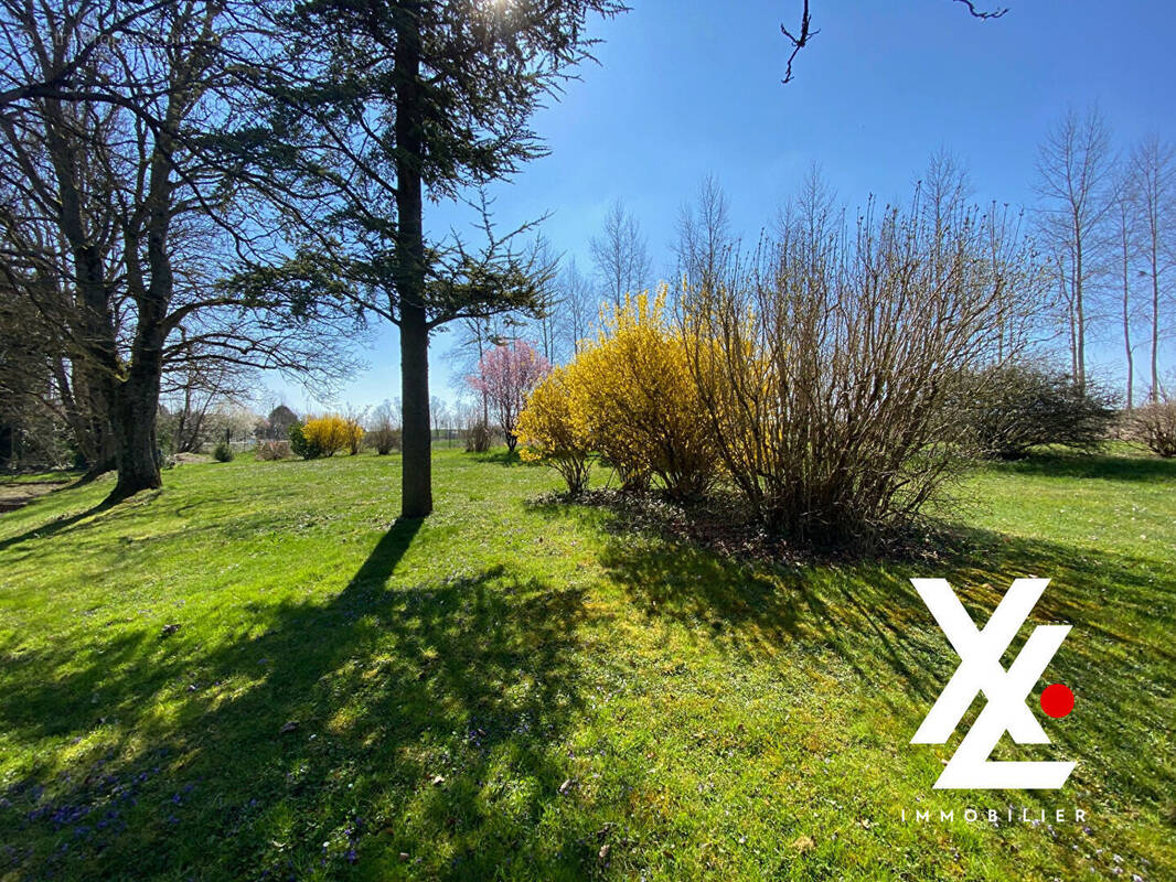 Terrain à LUNEVILLE