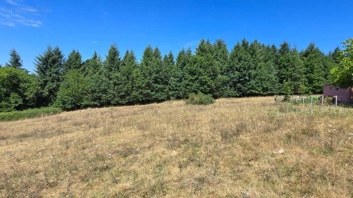 Terrain constructible  + agricole - environnement campagne - photo 5