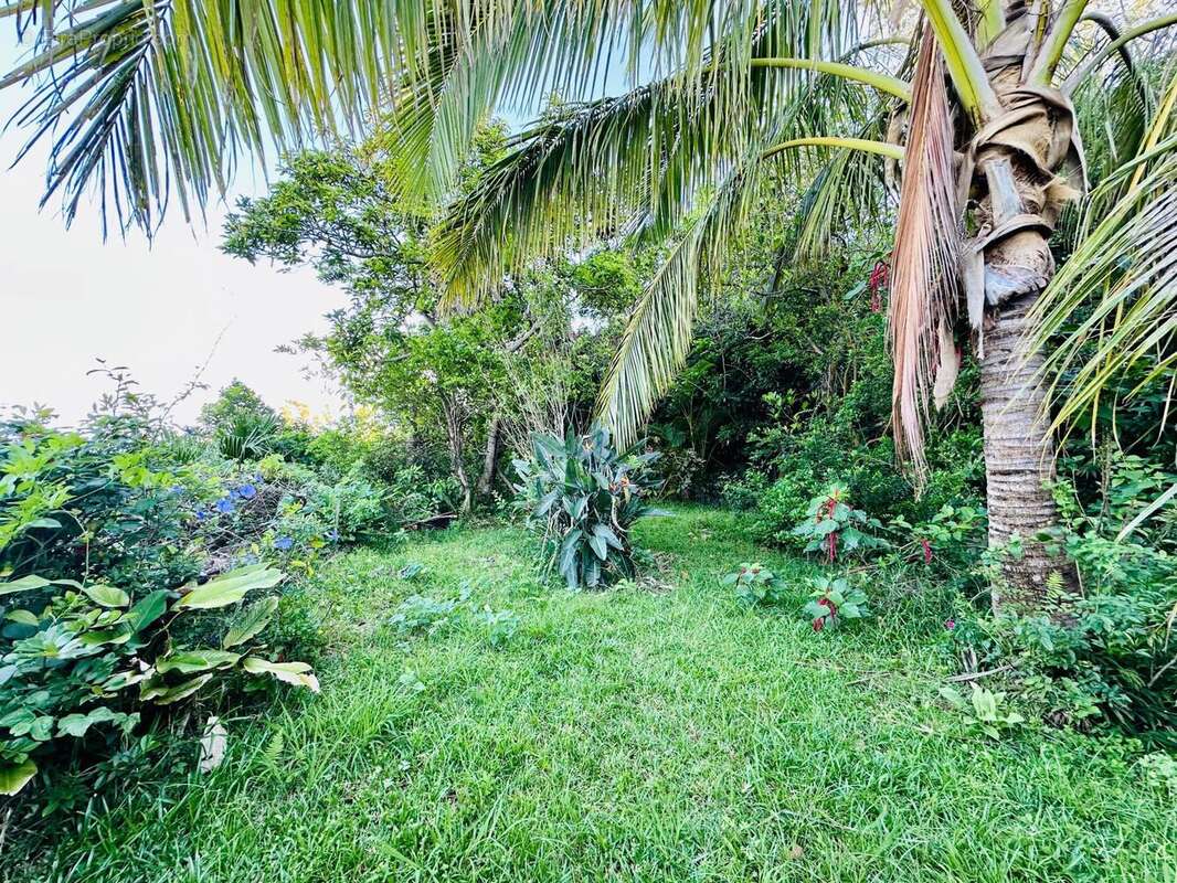 Photo 5 - Maison à SAINT-DENIS