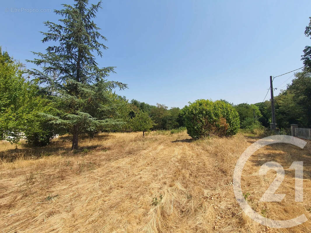 Terrain 760 m² à Montans  - photo 7