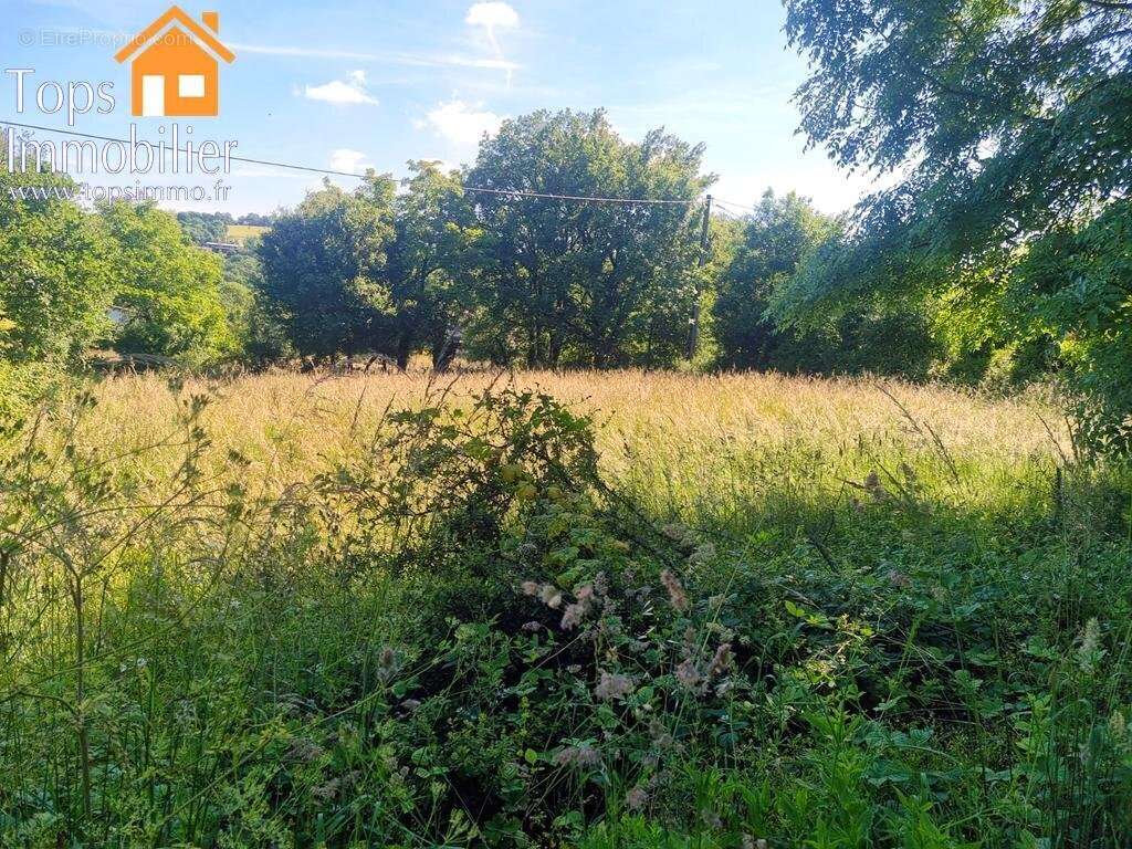 Terrain à VILLEFRANCHE-DE-ROUERGUE