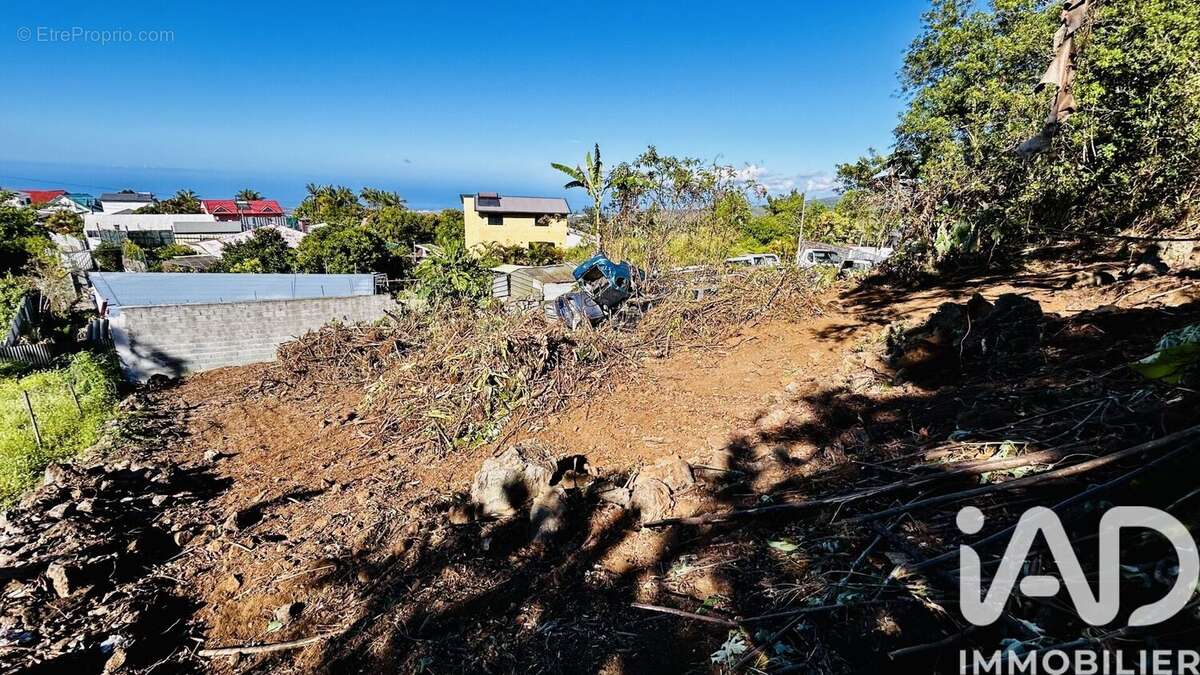 Photo 3 - Terrain à LE TAMPON