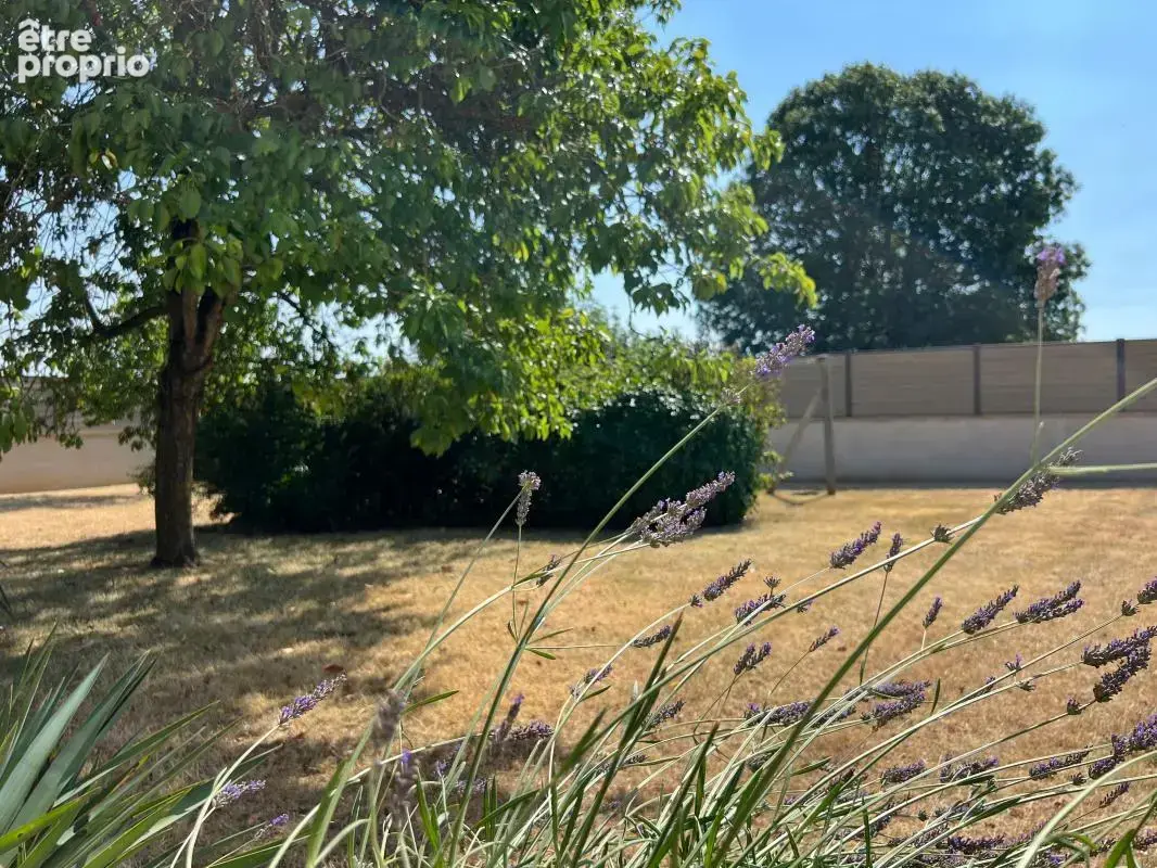  Longère de charme entièrement rénovée : Jardin gourmand, dépendance XXL et aucun travaux à prévoir !  - photo 6