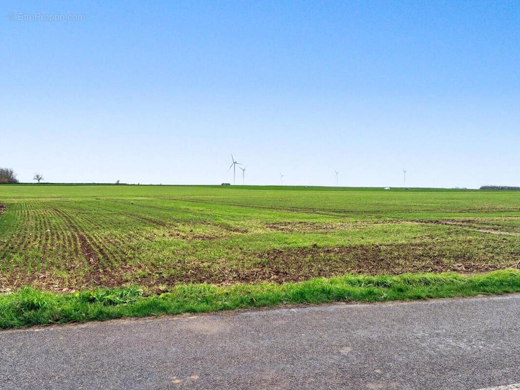 Photo 1 - Terrain à HEURINGHEM