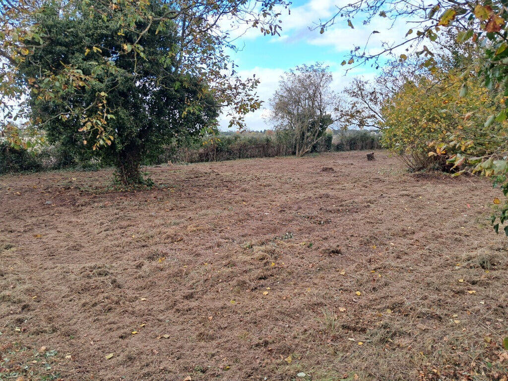 Terrain à AZAY-SUR-CHER