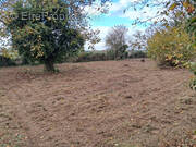 Terrain à AZAY-SUR-CHER