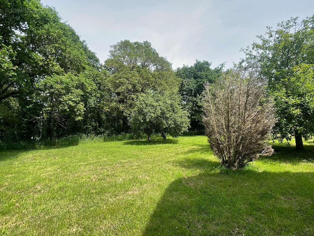 Maison à LA CHAPELLE-DES-MARAIS