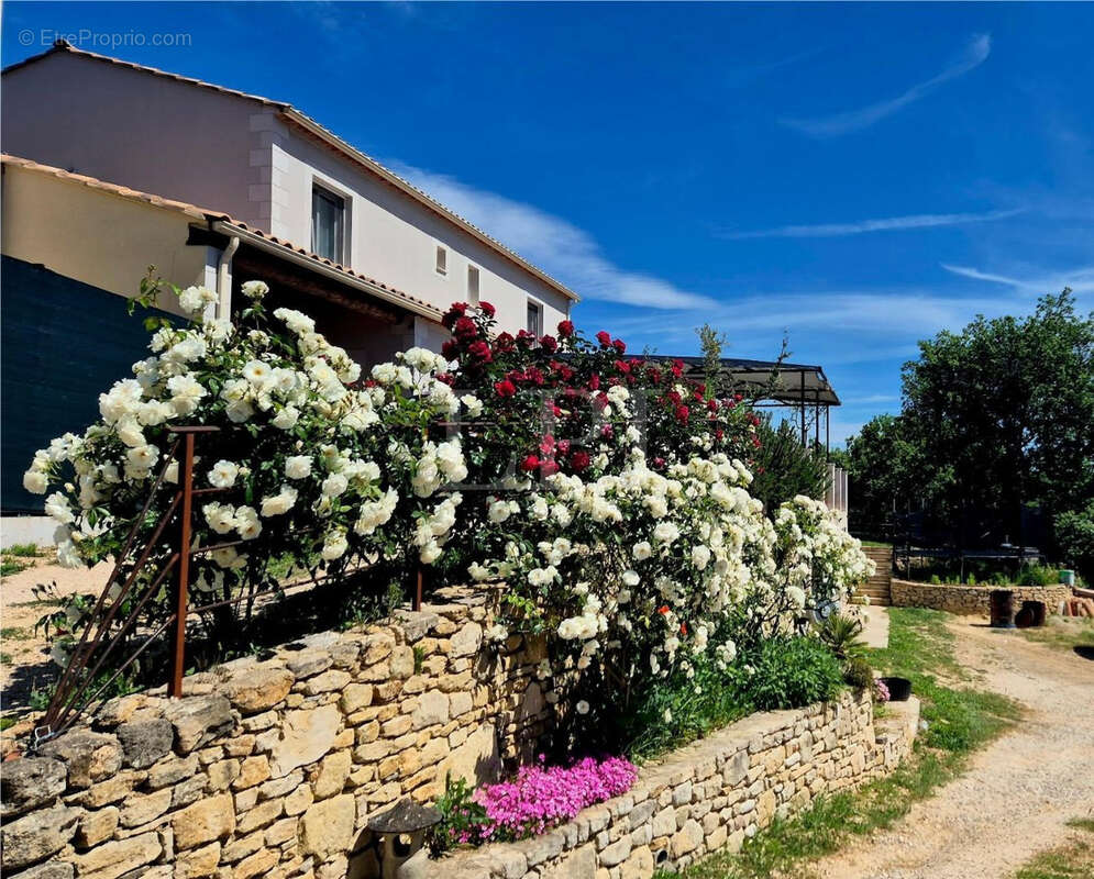 Maison à SAINT-MARTIN-DE-CASTILLON