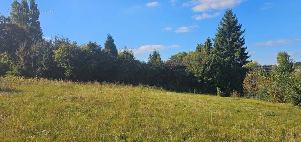Terrain à SAINT-GEORGES-DU-VIEVRE