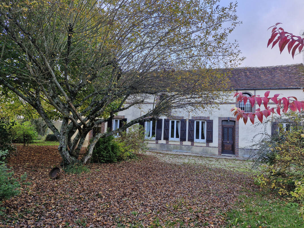 Maison à VILLENEUVE-SUR-YONNE