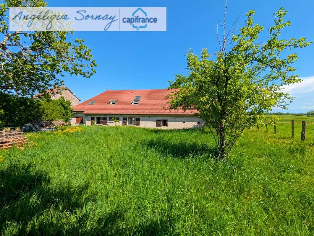 longère avec dépendances sur 3 115 m² – Francheville 39230 - photo 42