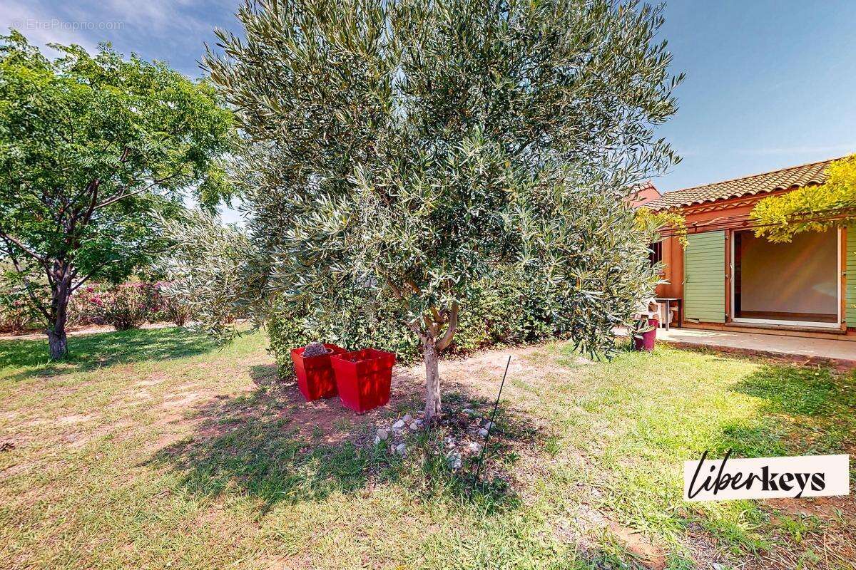 HOMPS : Sublime maison de 40m² avec extérieur vue sur le lac - photo 10
