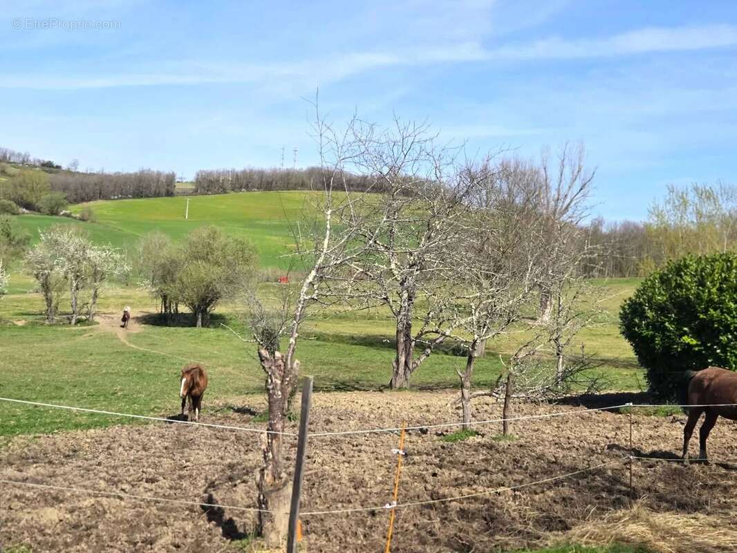 Maison à LISLE-SUR-TARN