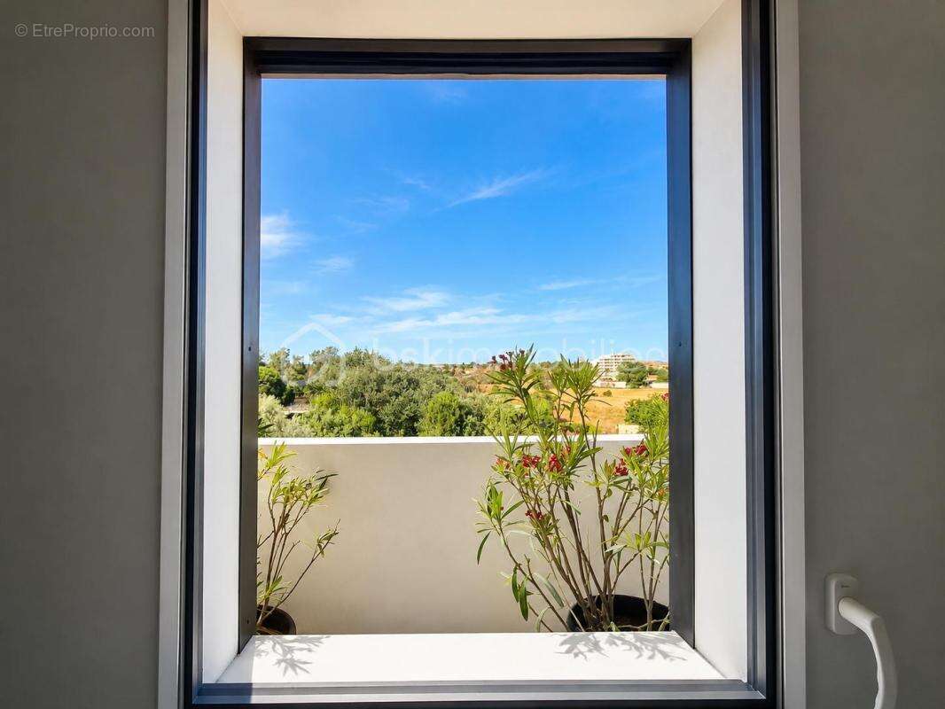 Dernier étage • duplex 113 m² • terrasse 43 m² sans vis-à-vis • vue mer & canigou • piscine • 500 m de la plage - photo 9