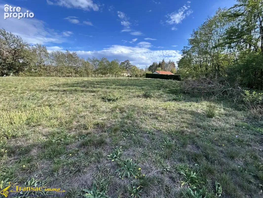 Terrain 3600m2 dont 1750m2 en zone constructible - photo 3