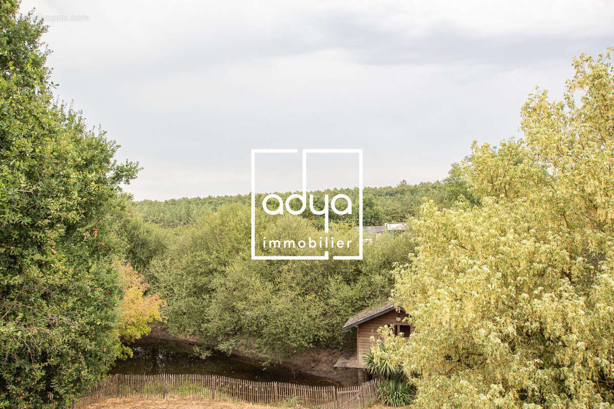 Maison 216 m² à Soulaines-Sur-Aubance  - photo 2