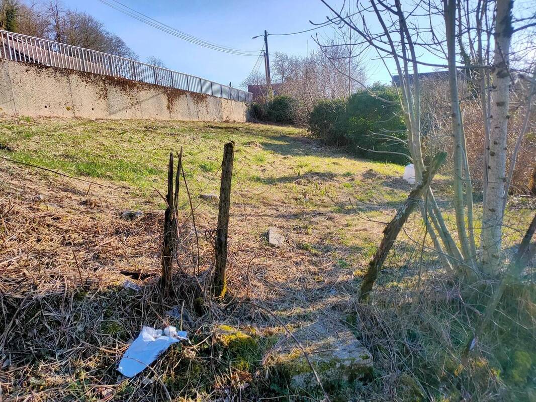 Photo 1 - Terrain à SAINT-THIEBAUD