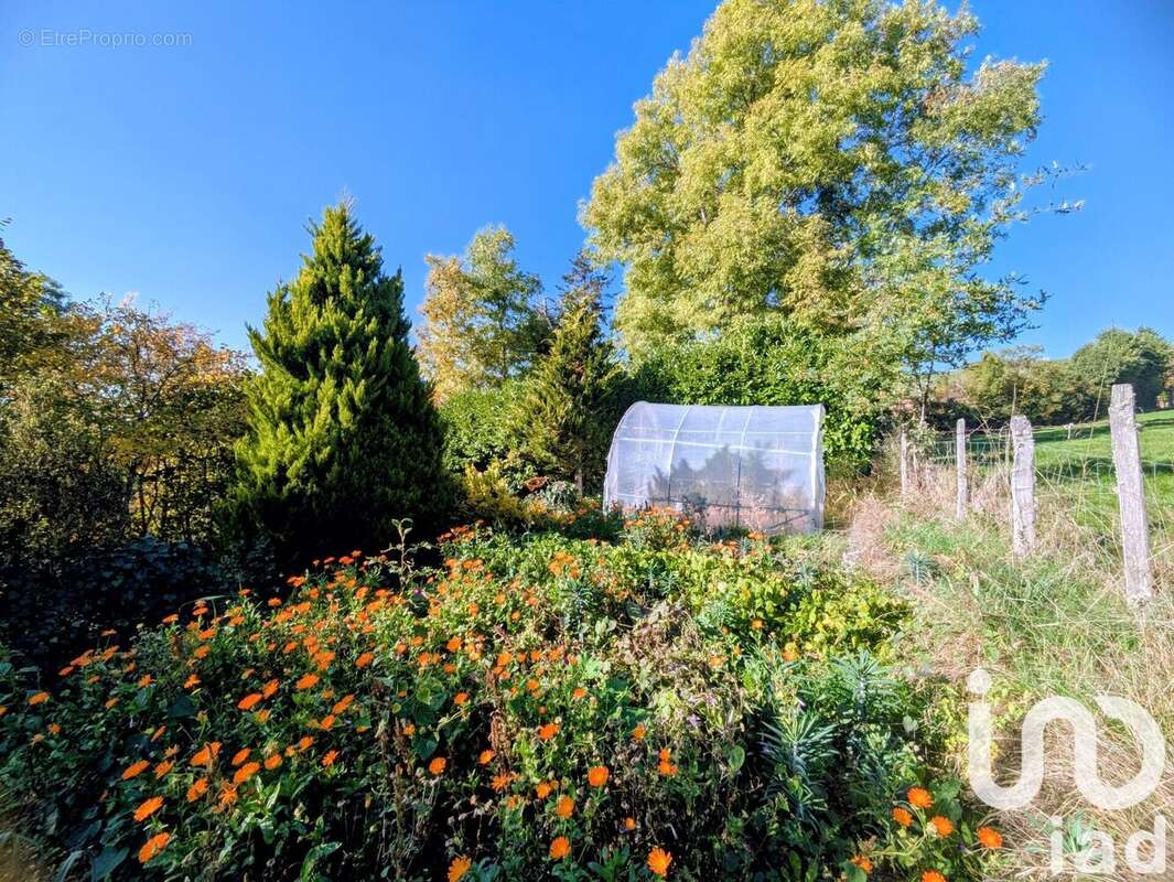 Photo 3 - Terrain à MONTCHAL