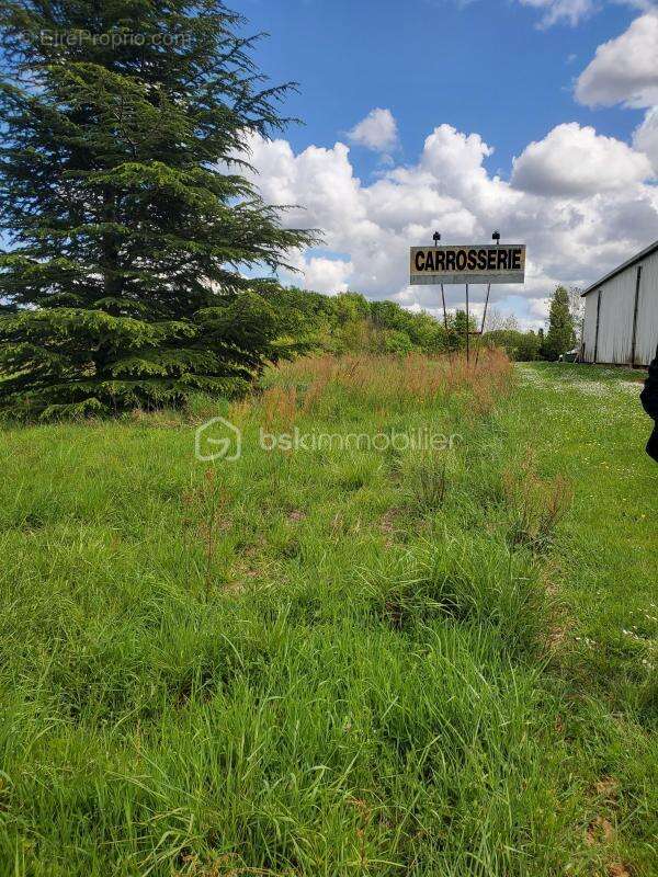 Terrain à MIRAMONT-DE-GUYENNE