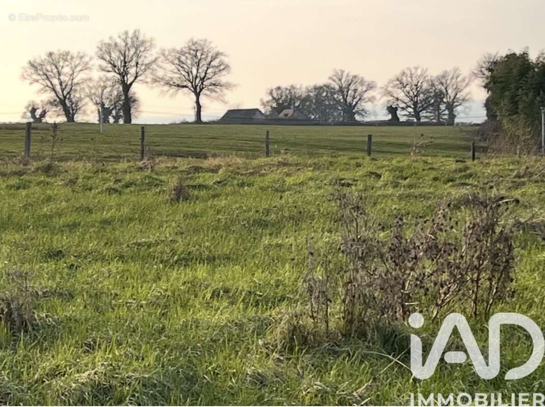Photo 3 - Terrain à BOURBON-LANCY