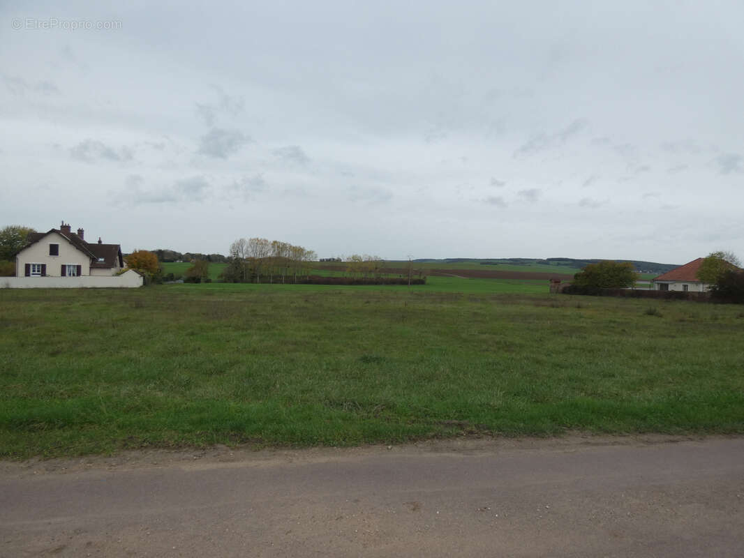 Terrain à LAROCHE-SAINT-CYDROINE