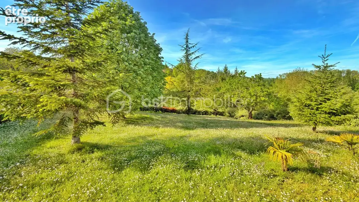 Aubeterre-sur-Dronne - Maison rénovée 148 m², vue panoramique et piscine - photo 13
