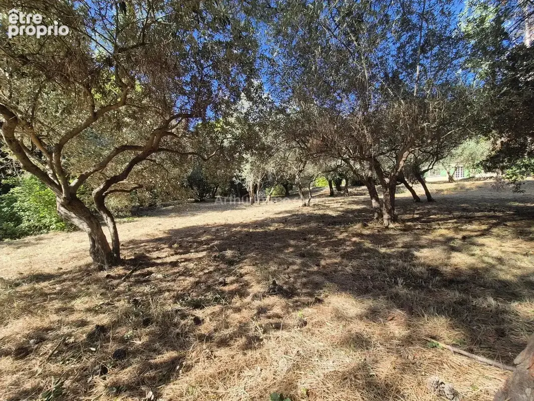 Vente Terrain Draguignan(83300) 145 000ï¿œ - photo 4