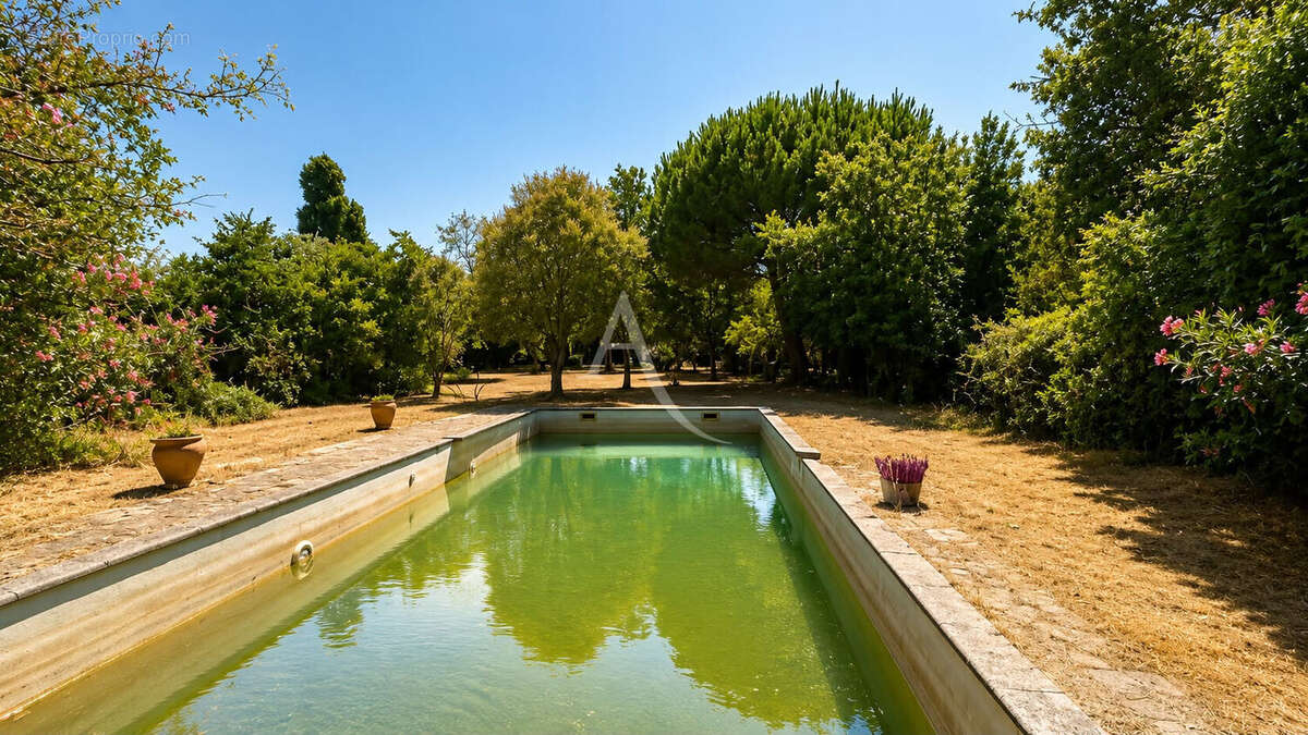 Belle Toulousaine T8 230m² sur parcelle arborée avec piscine de pus de 1900m² - photo 13