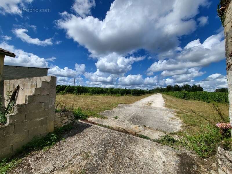 Maison à PUISSEGUIN