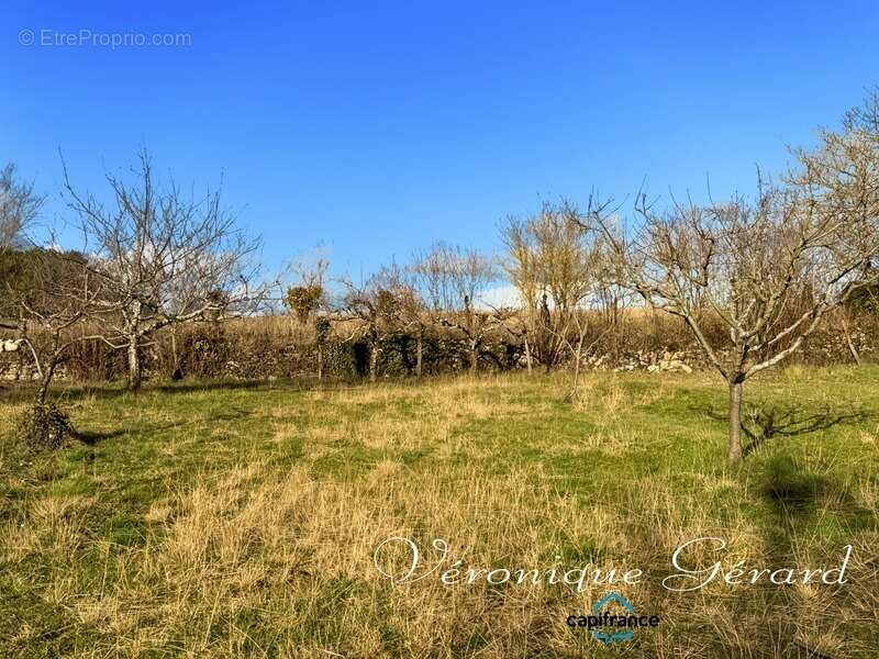 Maison en pierre de 150 M²  avec travaux à SAINT VIVIEN DE MONSEGUR - photo 7