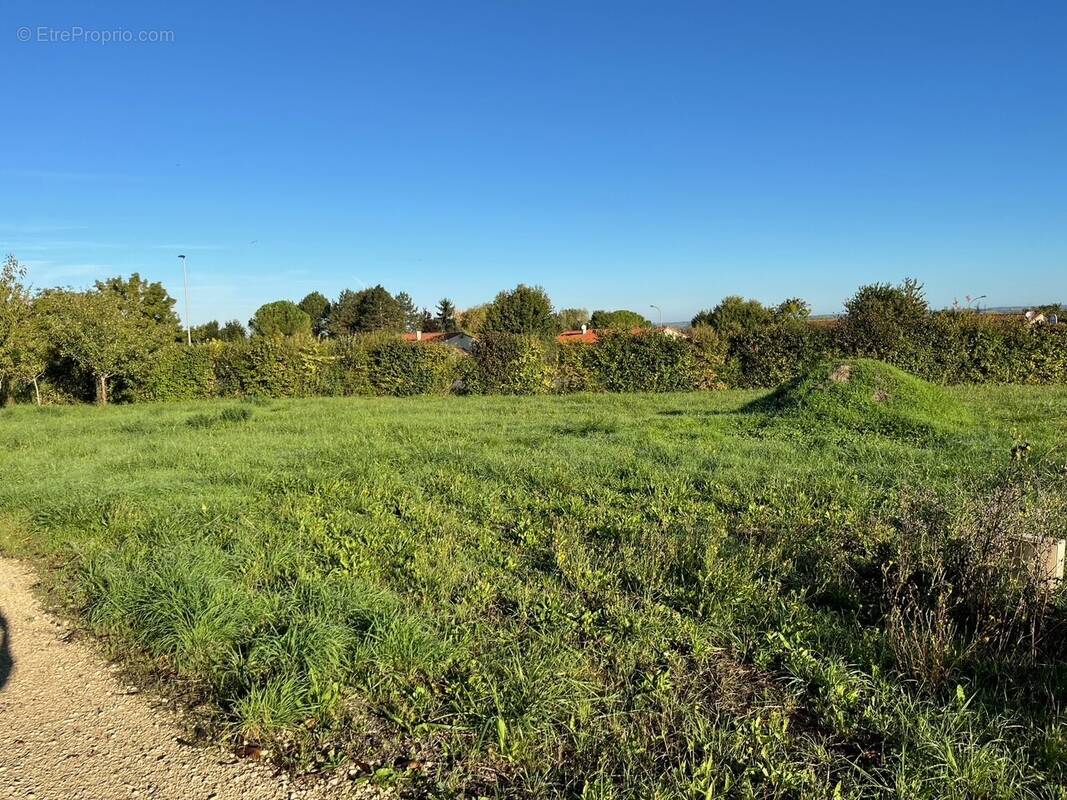 Terrain à BARBEZIEUX-SAINT-HILAIRE