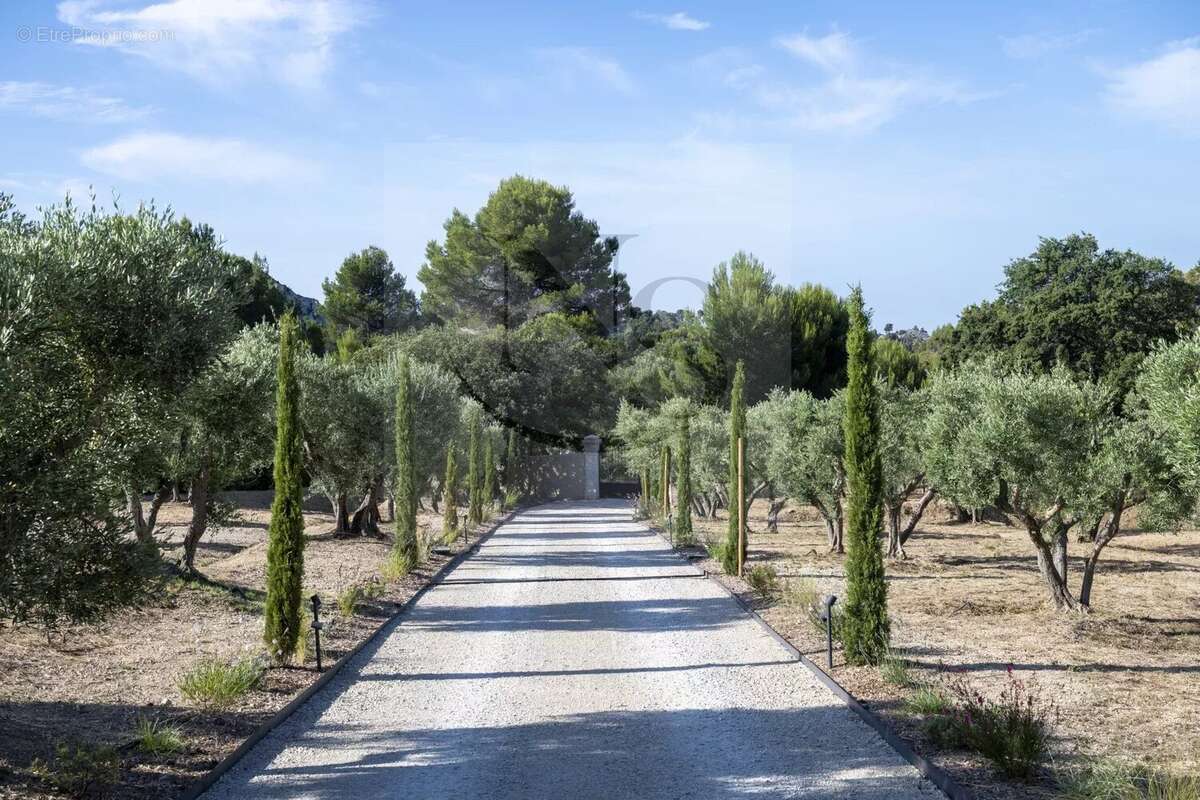 Maussane-les-alpilles / propriété de maître - photo 12