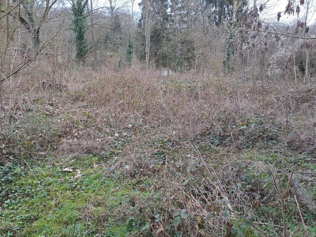 Photo 4 - Terrain à CATENOY