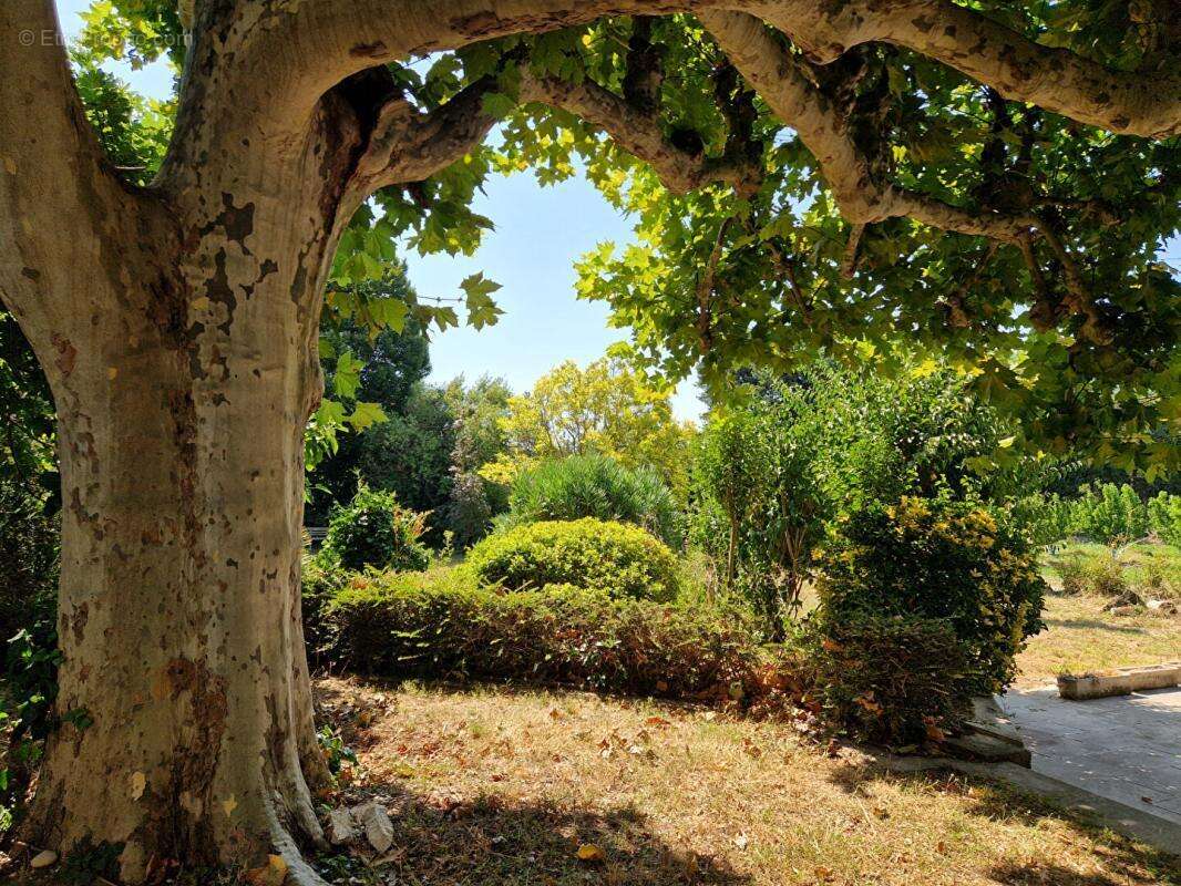 Maison à SAINT-REMY-DE-PROVENCE