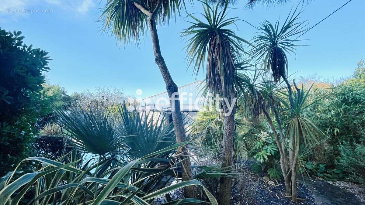 Maison à SAINT-GEORGES-D&#039;OLERON