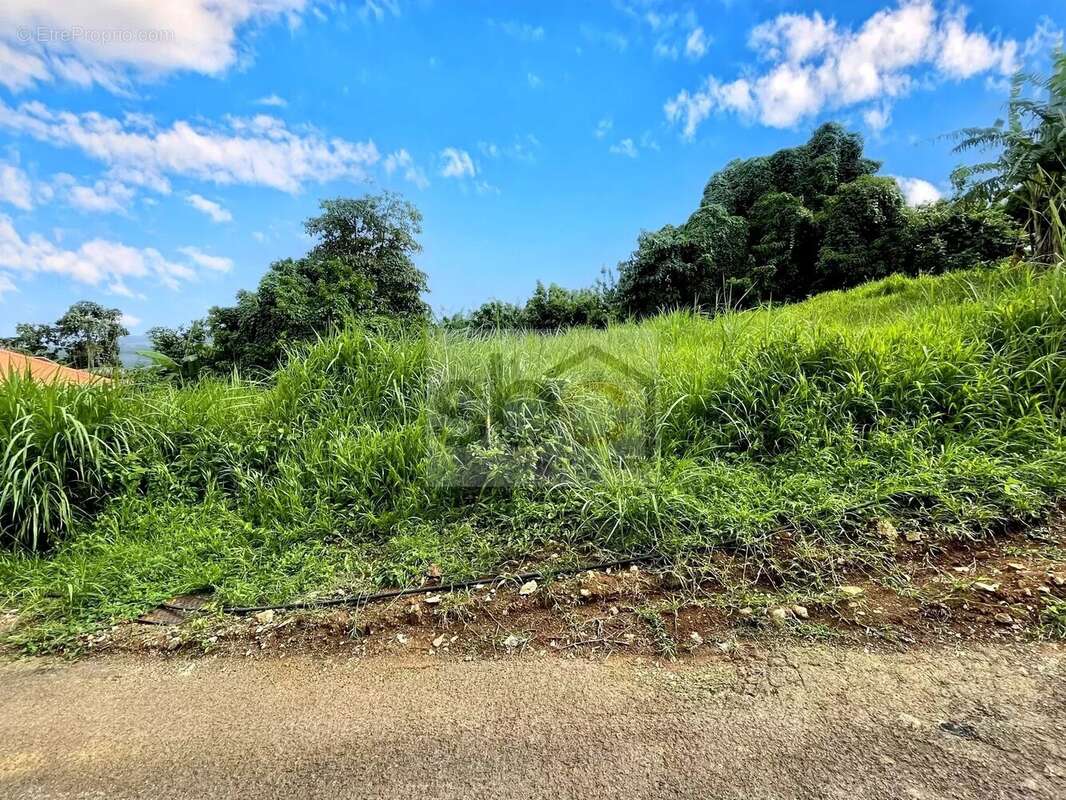 Terrain à SAINTE-MARIE