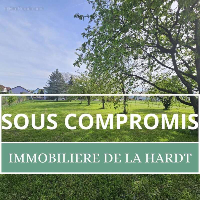 Terrain à SCHLIERBACH